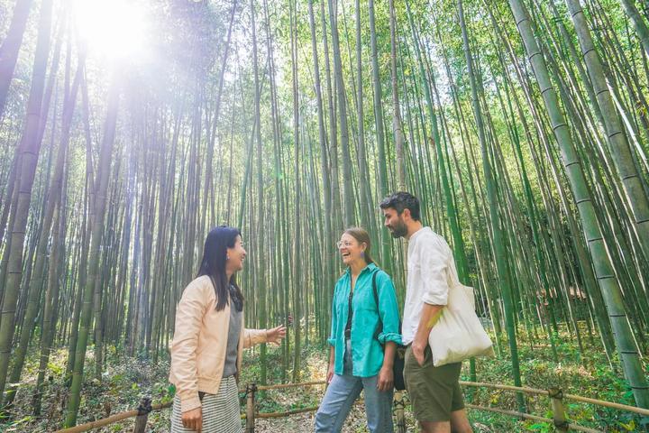 Arashiyama Bamboo & Temples Walk with Michelin Lunch